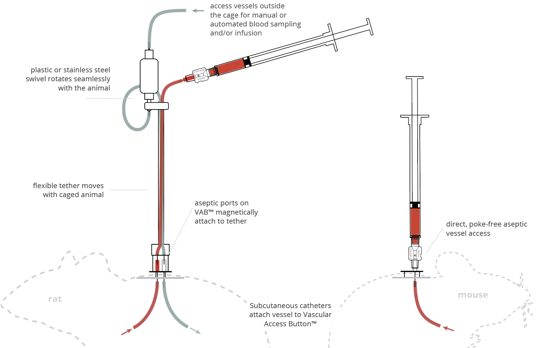 Guide to Vascular Access Buttons™